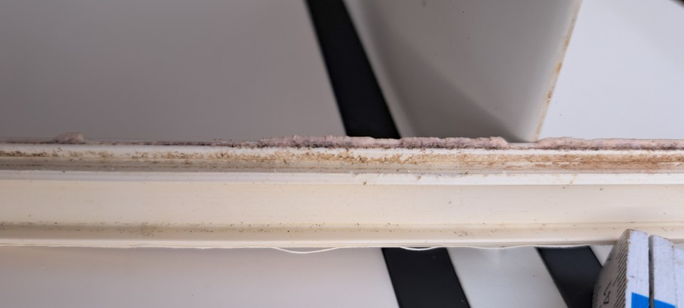 Détail 6.jpg